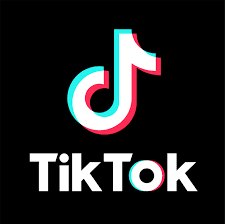 Growth is Slowing for Brand TikTok Accounts as Platform Matures: 3 Key Trends